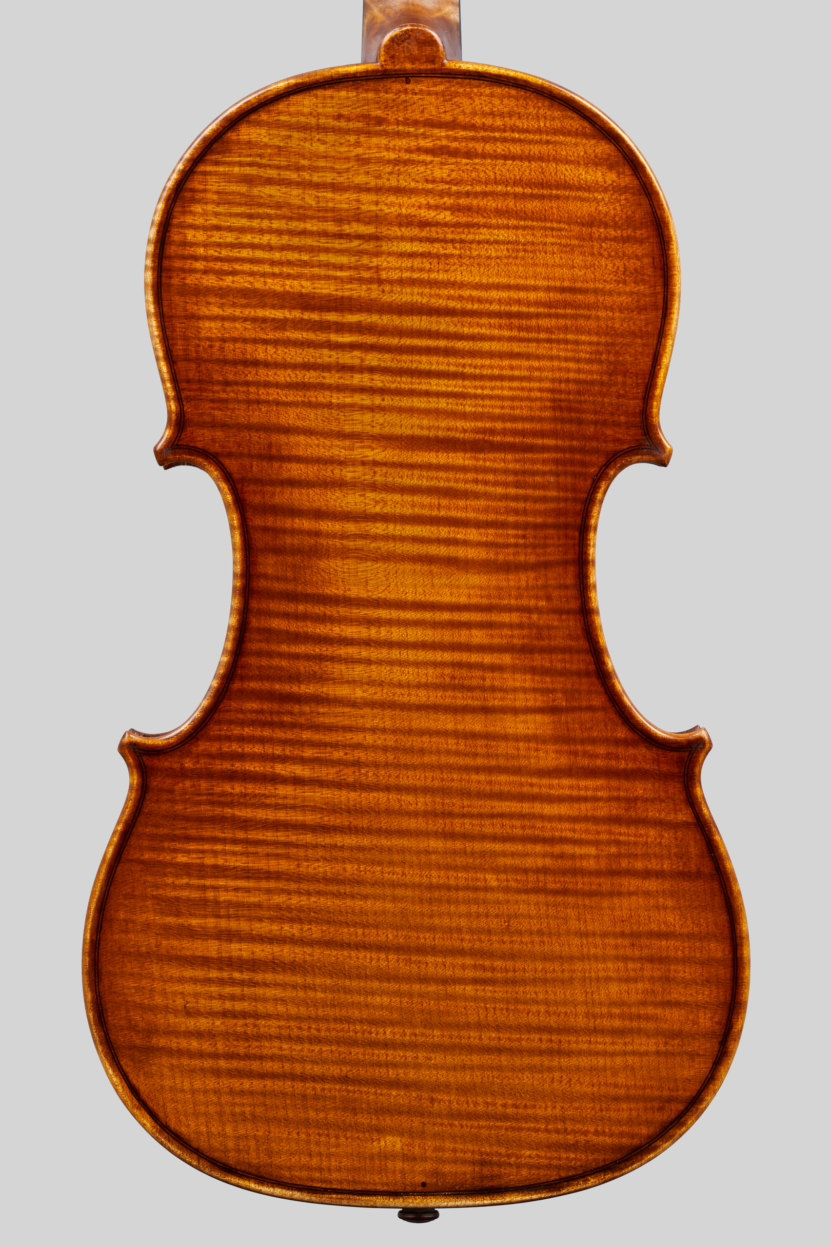 Violino MINOTAURUS dalla collezione Divinità Greche 2022 foto 2